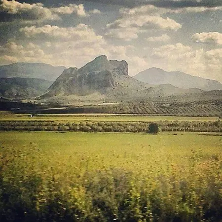 Meson El Numero Uno Antequera